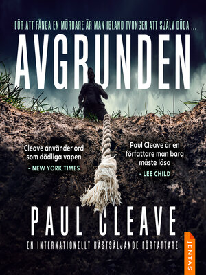 cover image of Avgrunden